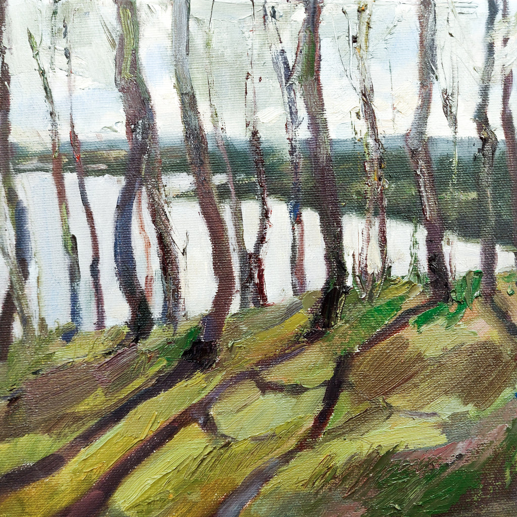 Landscape of a forest in early spring. There's a lake in the background.